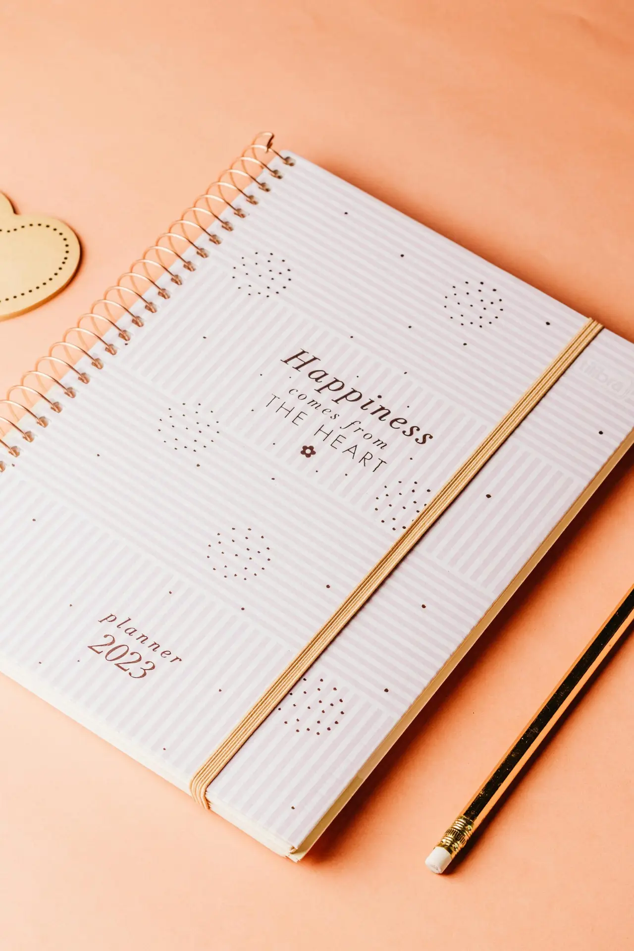 coil binding gold notebook