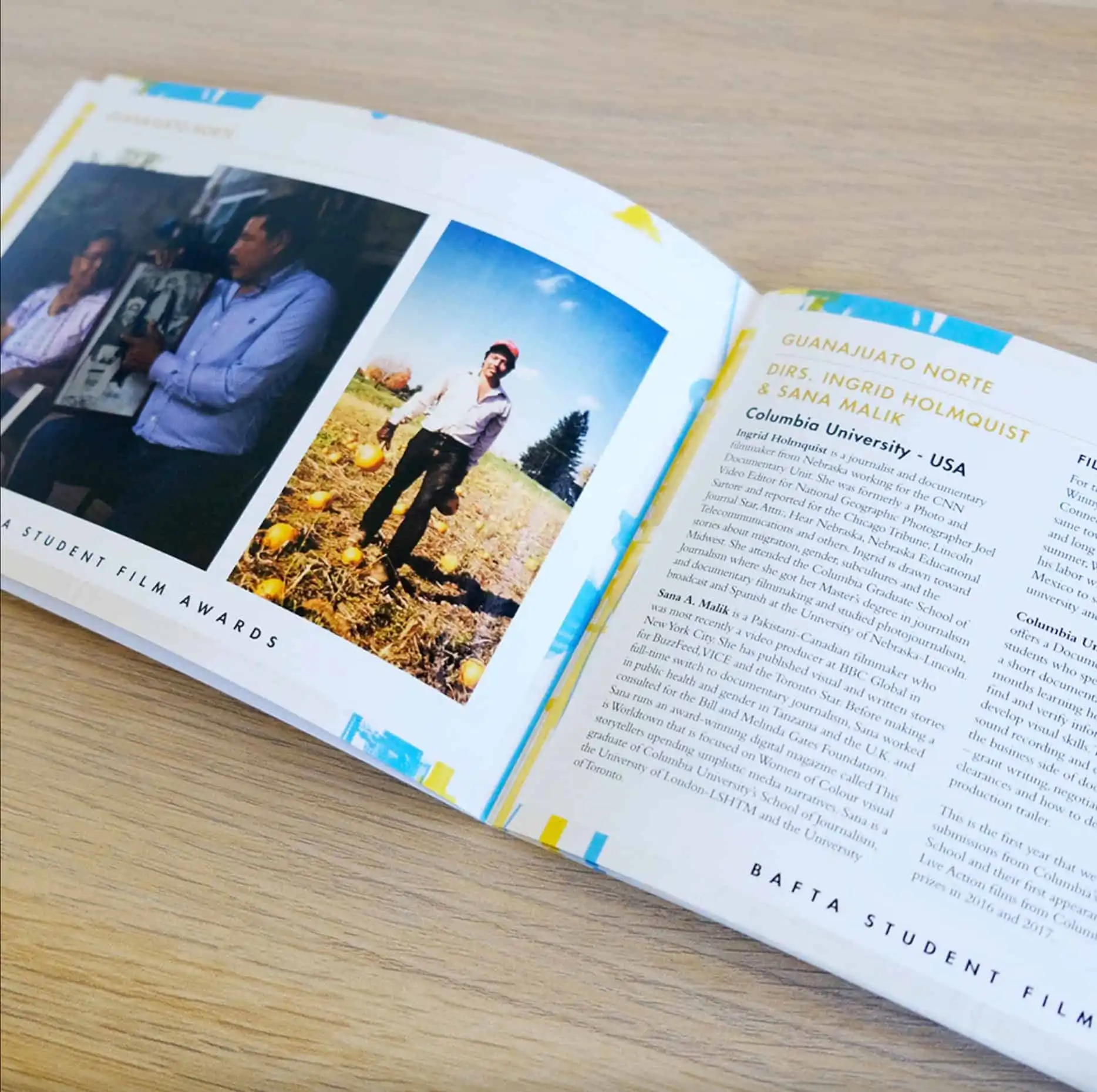 Offset Printing vs Digital Printing: When to Use Which