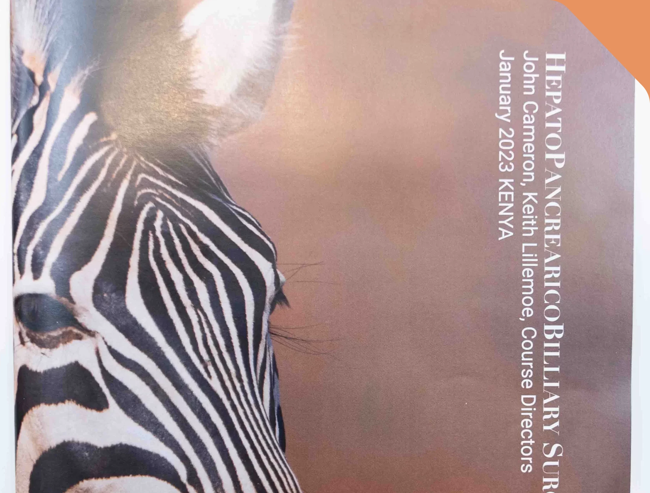Custom Magazines for Businesses in NYC