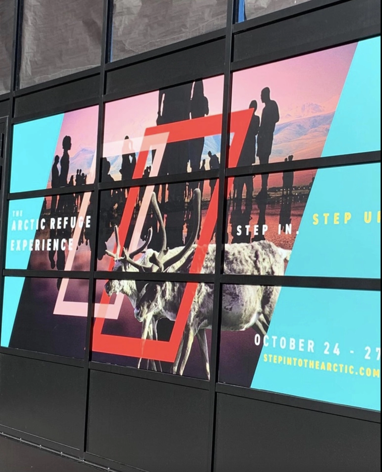 Window Decals for Business in NYC: Types, Uses, and How to Order